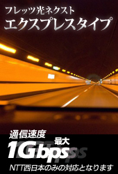 光ネクストエクスプレスタイプ